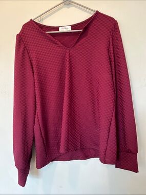 Kaileigh Women's Textured V-Neck Long Sleeve Top - Burgundy